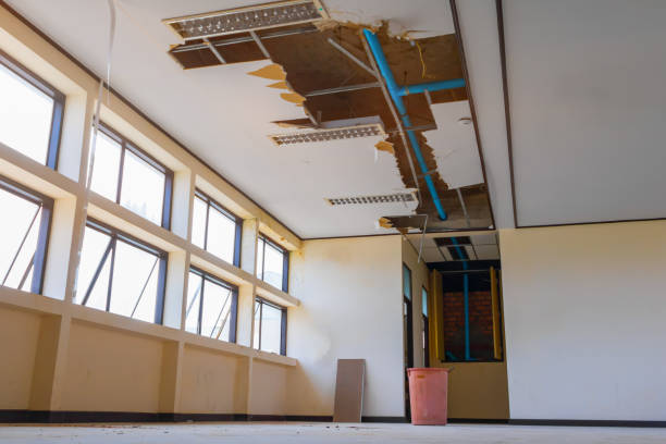 Best Flood damage cleanup  in Chicago Ridge, IL