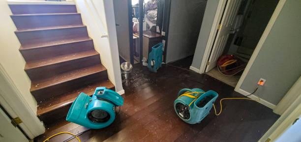 Best Commercial water damage restoration  in Chicago Ridge, IL