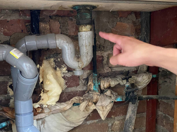 Best Water damage restoration experts  in Chicago Ridge, IL