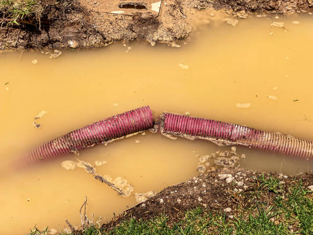 Best Professional water damage repair  in Chicago Ridge, IL