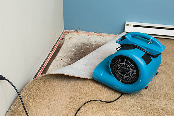 Best Water damage restoration near me  in Chicago Ridge, IL