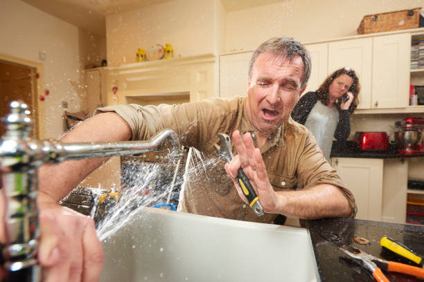 Best Water damage cleanup near me  in Chicago Ridge, IL